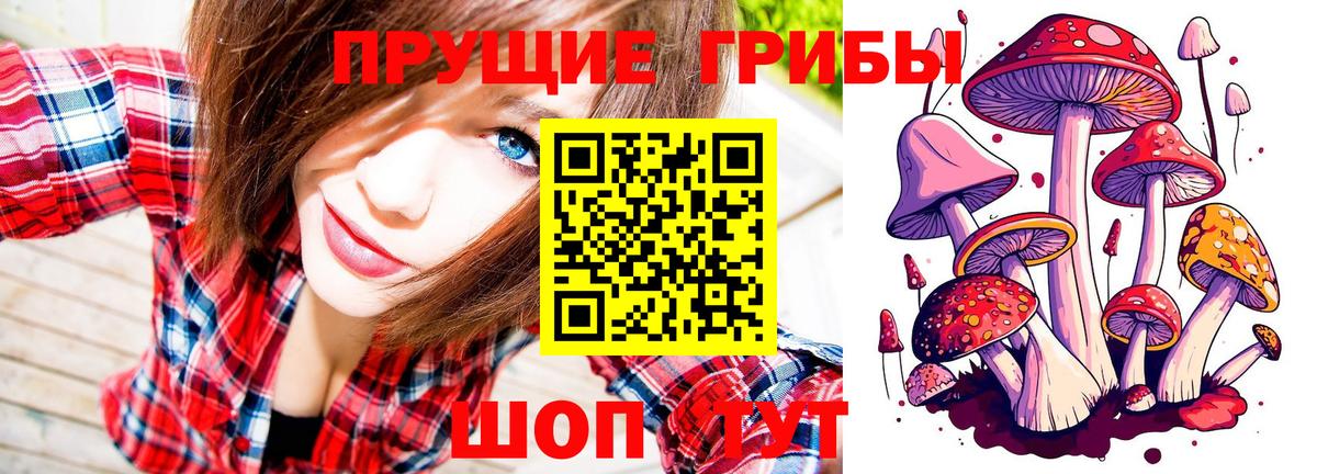 Советск  Псилоцибиновые грибы прущие грибы  Вход с VPN 
