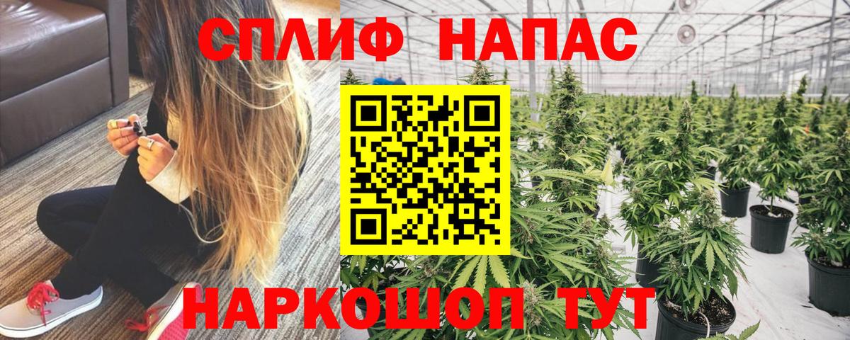 Марихуана SATIVA & INDICA Советск